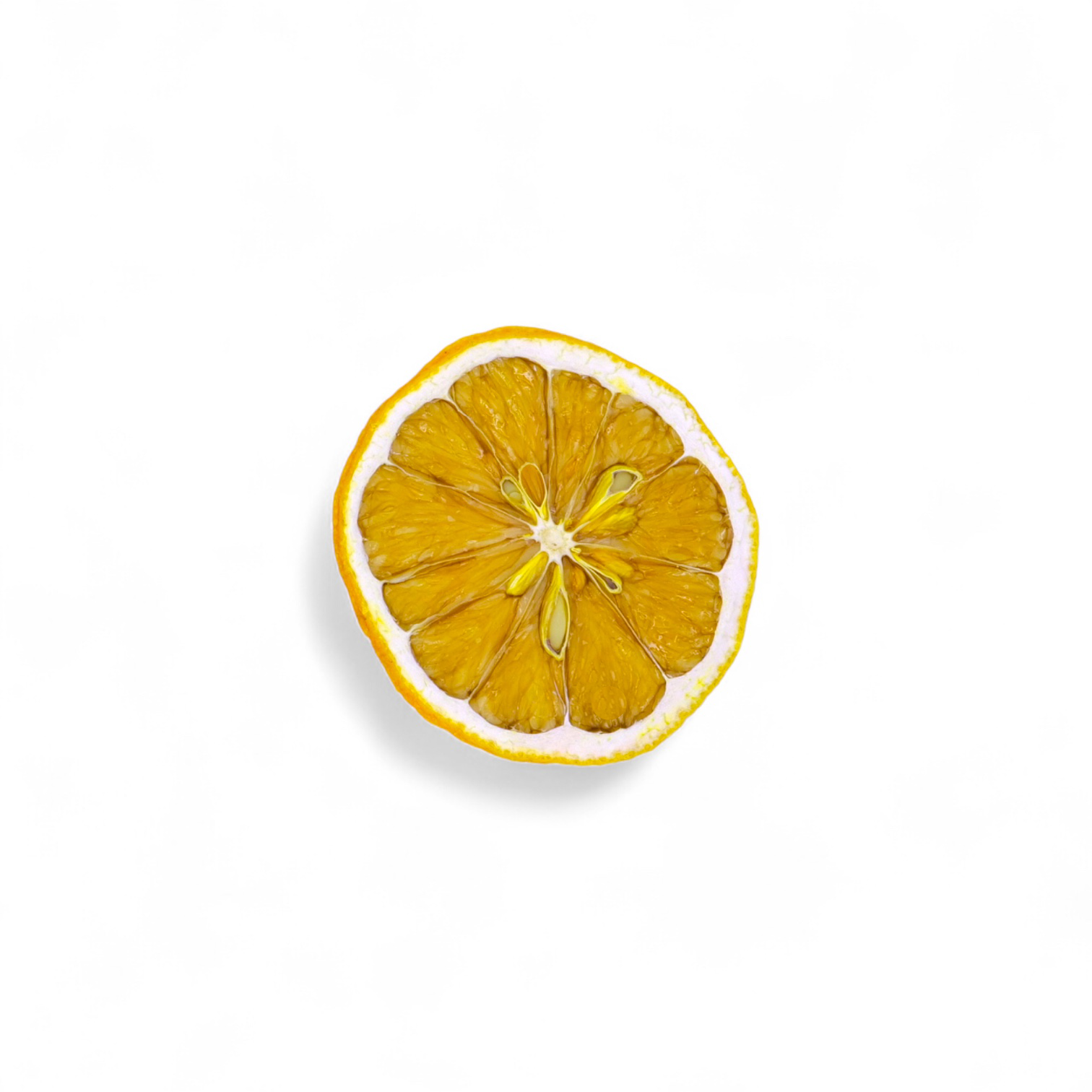 Lisbon Lemon Garnish